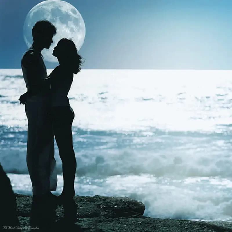 Moonlit Waves of Love
